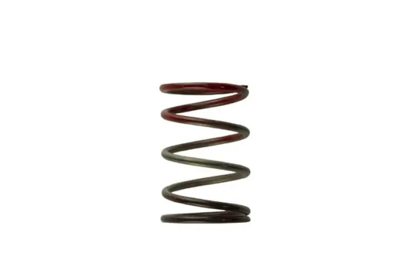Turbosmart Wg40 11Psi Middle Spring Brown/Red 1