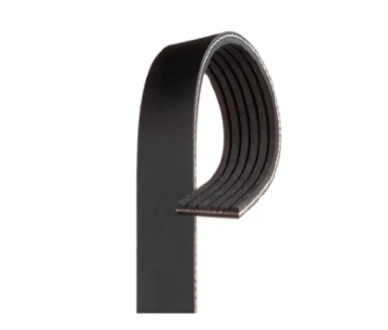 Gates Racing Micro-V Belt For 2017–2015 Dodge Challenger V8 6.2L Accessory Drive 1
