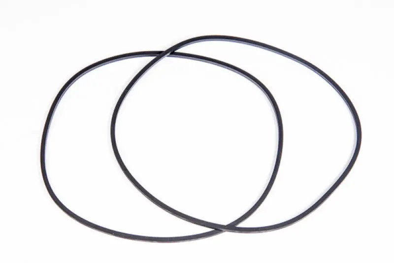 Radium Engineering Multi-Pump Fuel Surge Tank O-Ring Service Kit 1