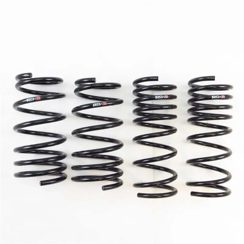 Rs-R 13-16 Scion Fr-S (Zn6) Super Down Springs 1