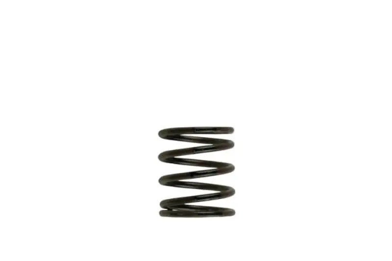 Turbosmart Wg40 3Psi Inner Spring Brown/Black 1