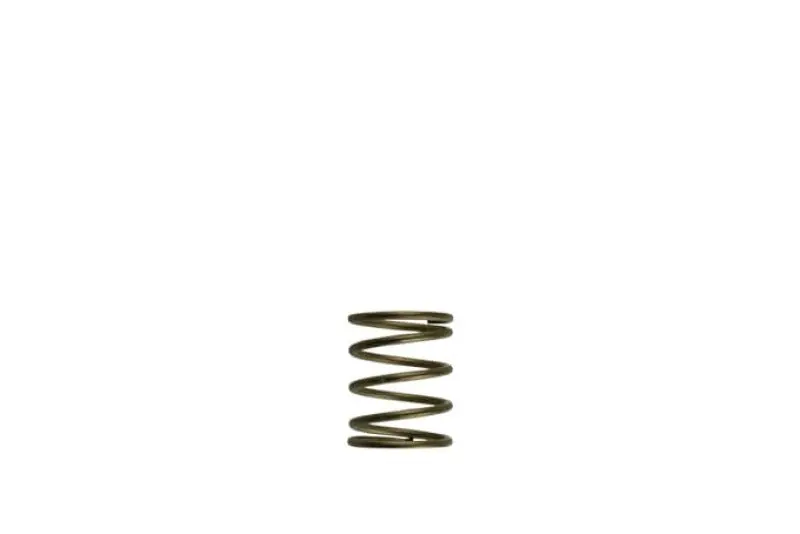 Turbosmart Gen-V Wg45/50 3Psi Orange Inner Spring 1
