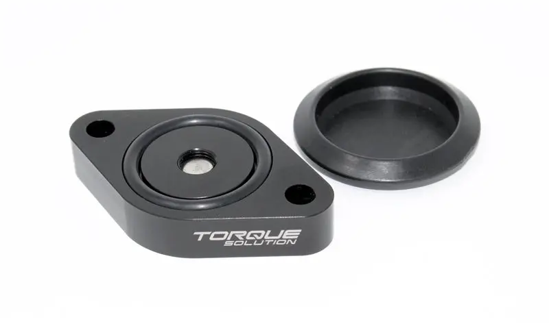 Torque Solution Sound Symposer Delete 2013+ Ford Focus St 1