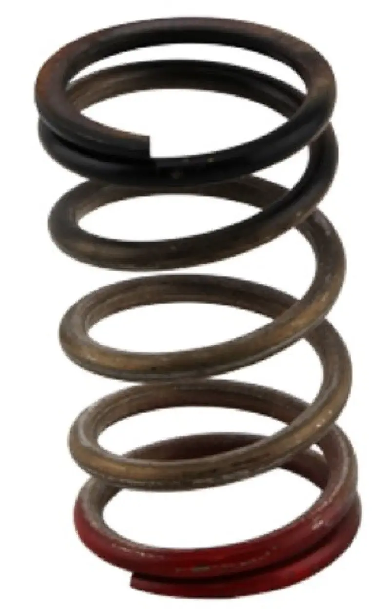 Turbosmart Gen-V Wg40/45 Hp 40 Psi Spring Upgrade - Black/Red 2
