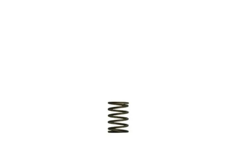 Turbosmart Gen-V Wg38/40 3Psi Black Inner Spring 1