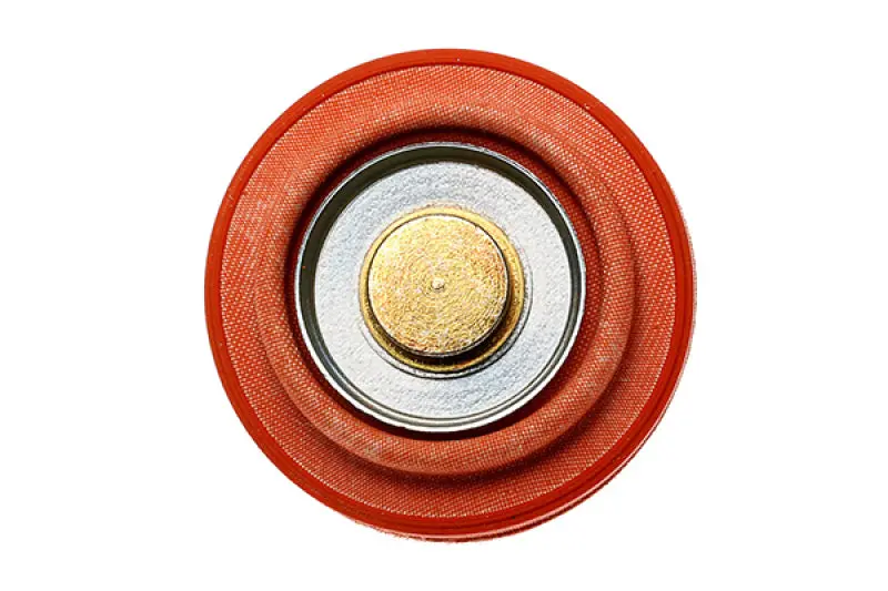 Radium Engineering Diaphragm Service Replacement Fpr 1