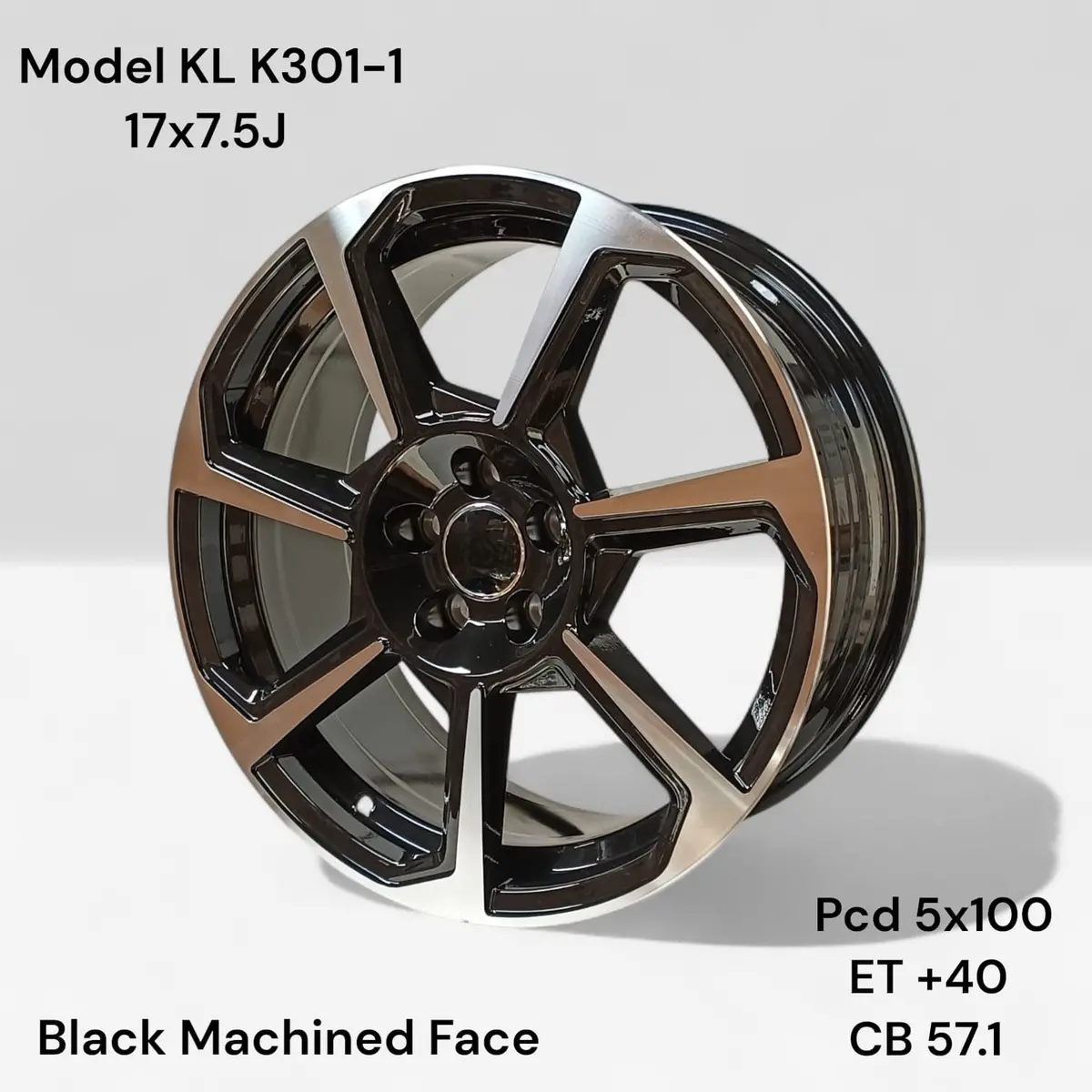 17” Polo Ttrs   5/100 1
