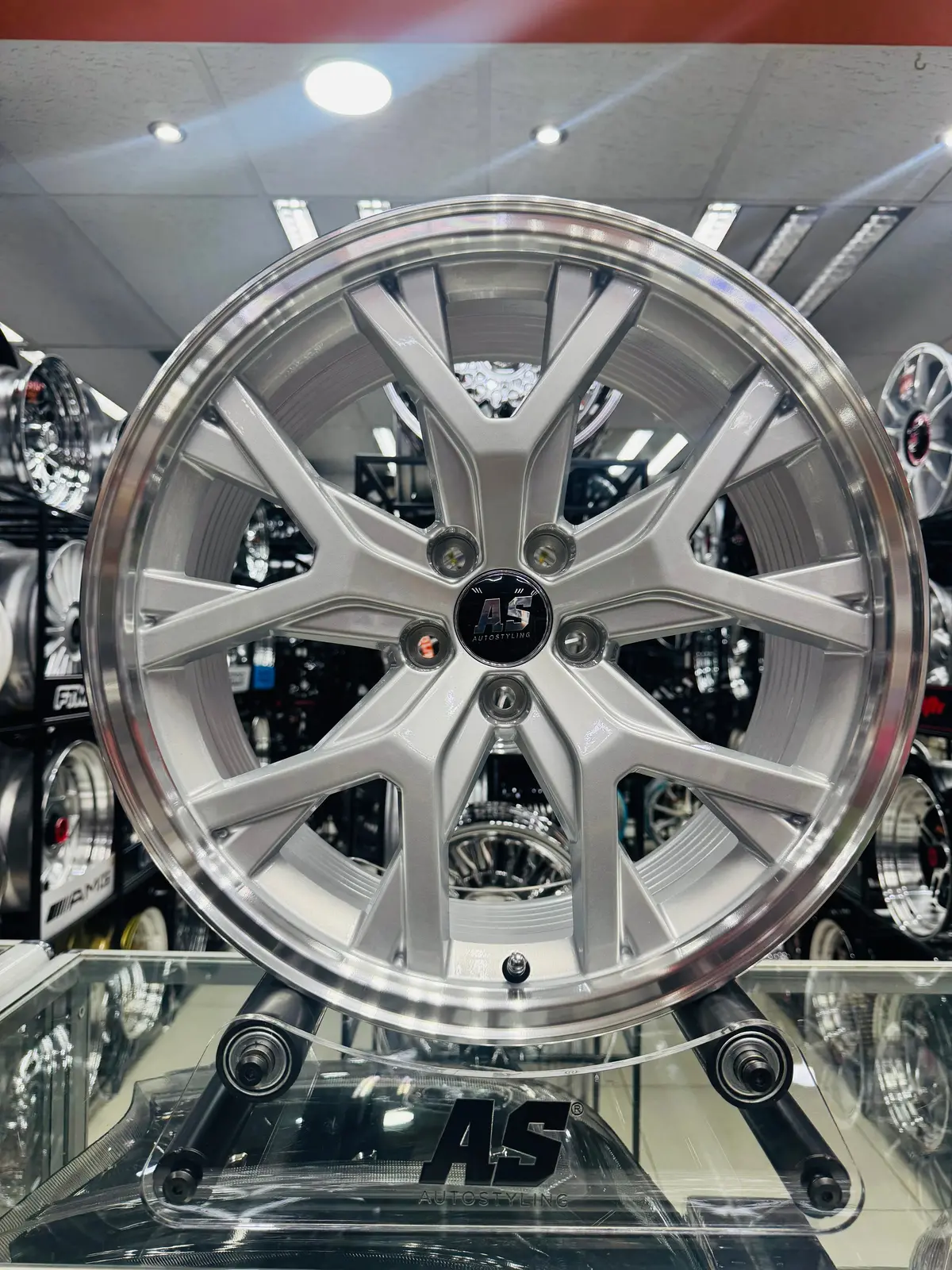 17” As- Polo Cross Canyon  Dished 5/100 Silver Rims 1