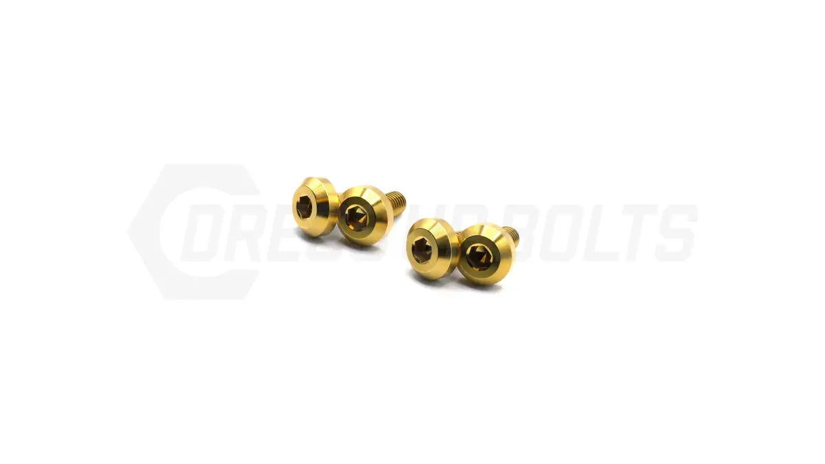 Dress Up Bolts Titanium Hardware Fuel Rail Kit - Ls Engine 3