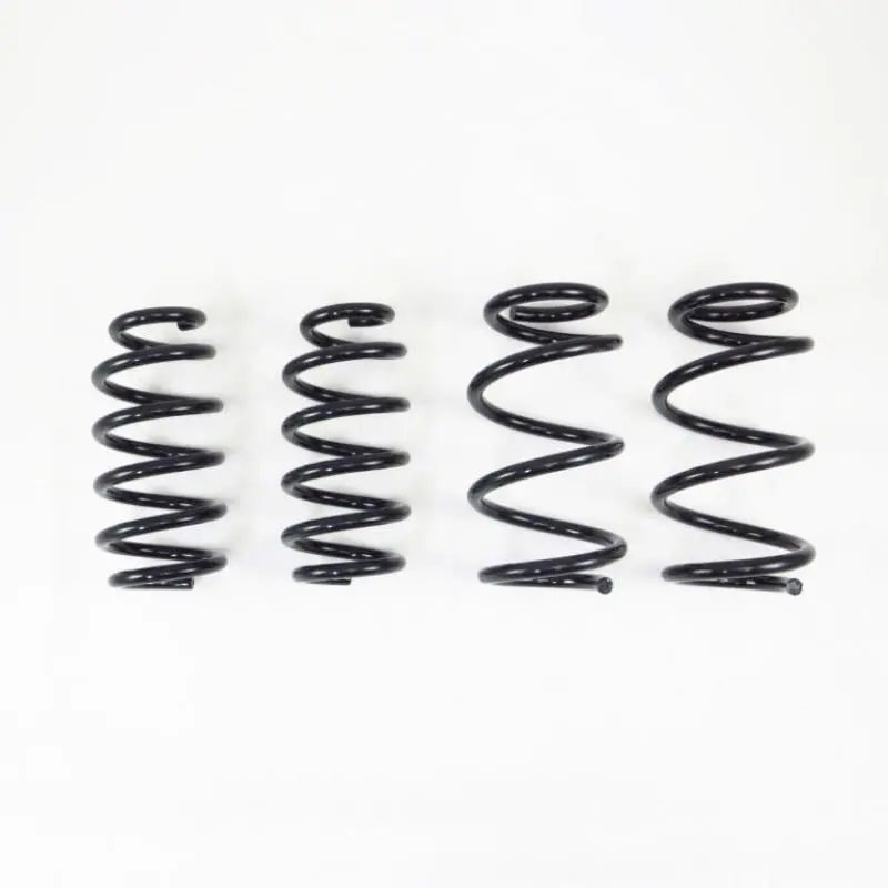 Rs-R 19+ Tesla Model 3 Awd Down Sus Springs 1