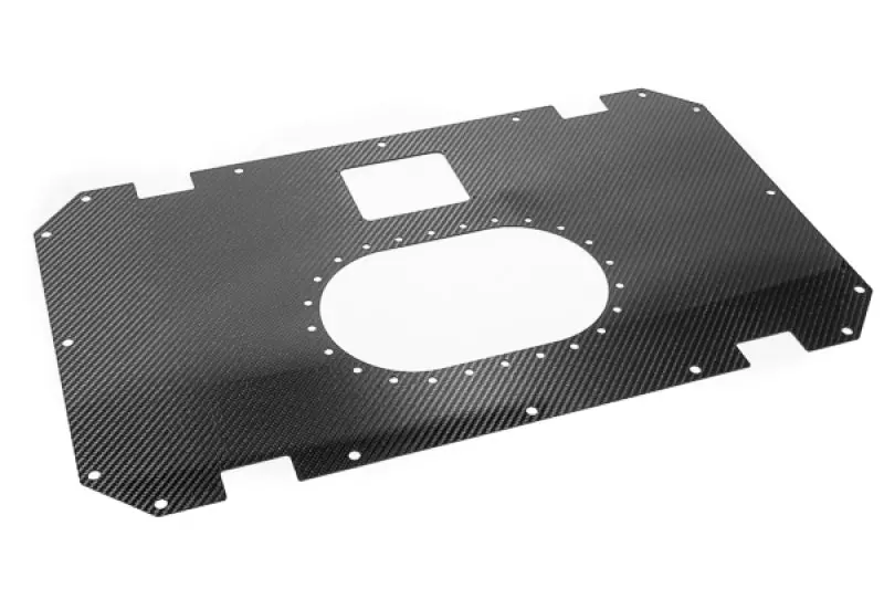 Radium Engineering Carbon Fiber Fuel Cell Lid - 10/14 Gallon 1