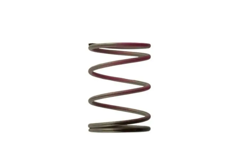 Turbosmart 2011 Wg38/40/45 7Psi Outer Spring Brown/Pink 1